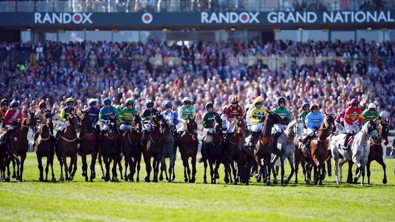 Punters Panel: Grand National horse racing betting advice from our experts