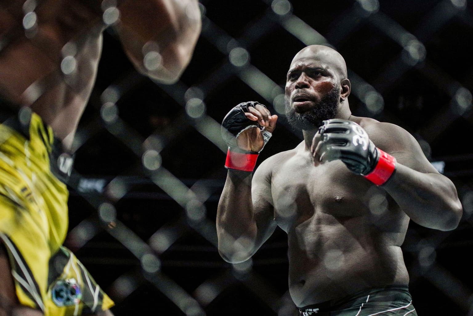 Gasiev vs Rozenstruik: How to Watch, Betting Odds & Prediction