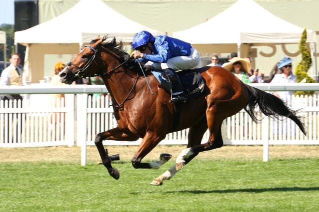 Ombudsman to skip Delacroix clash and tackle Ascot's Champion Stakes