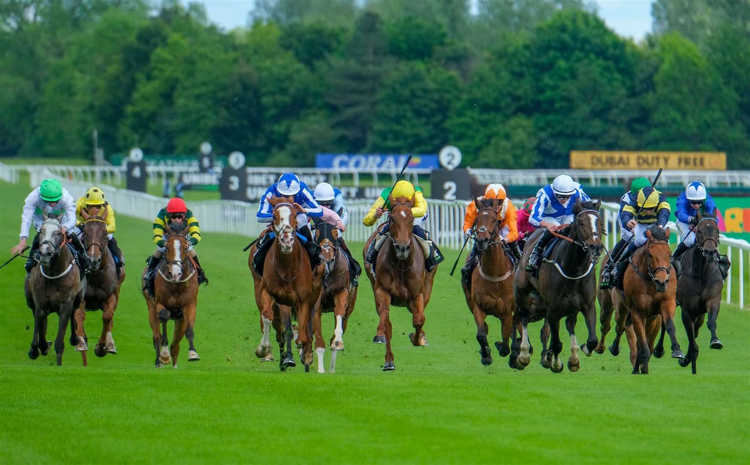 Punters Panel: Horse racing betting tips for this weekend