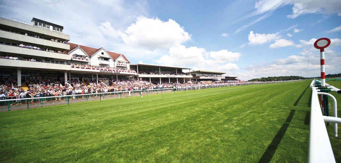 Punters Panel: Horse racing betting tips for this weekend