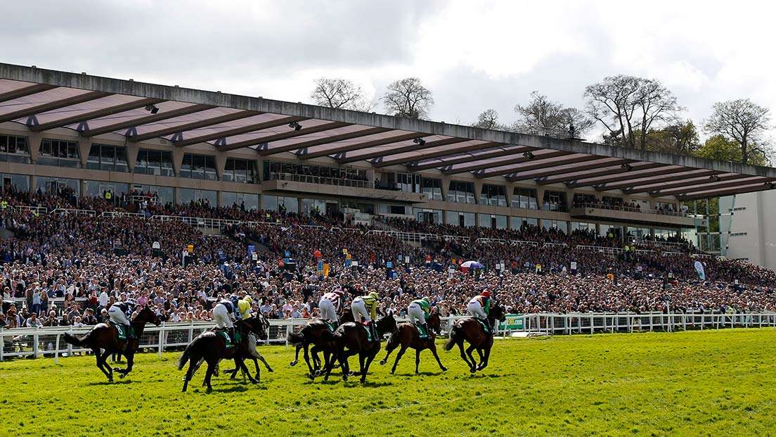 Punters Panel: Weekend horse racing betting advice from our experts