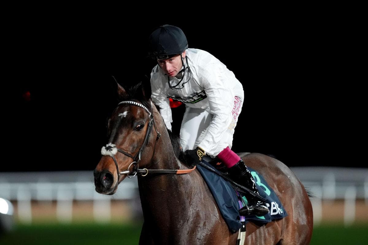 Constitution Hill 1/5 to land second flat success at Kempton