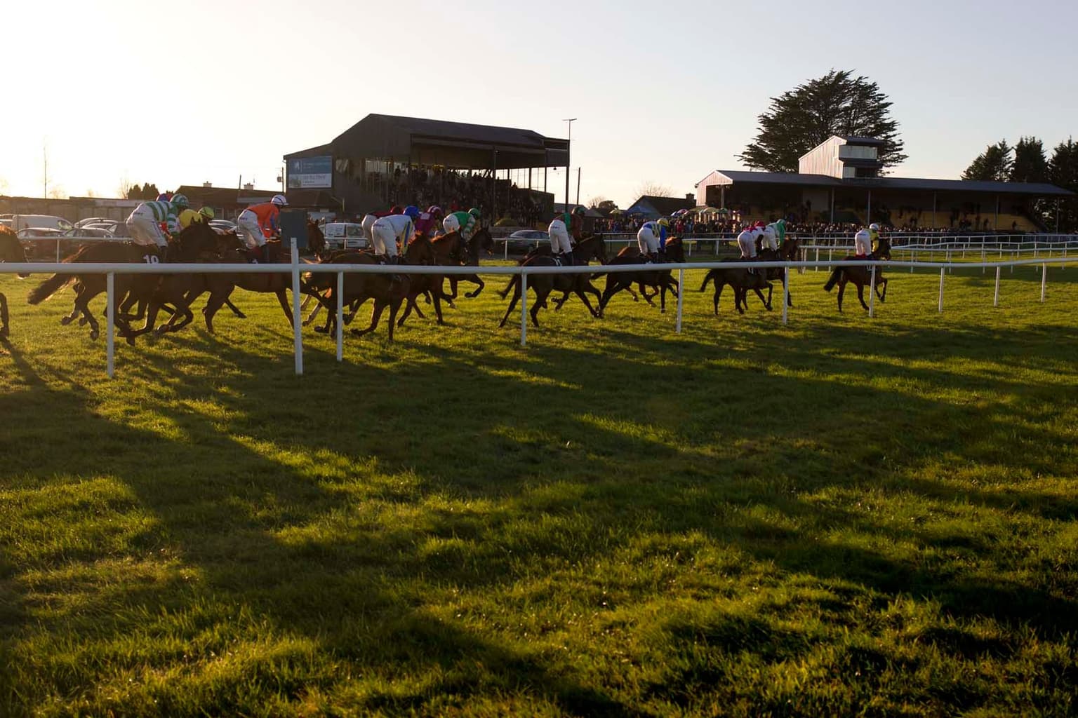 Iconic Irish racecourse Thurles announces permanent closure