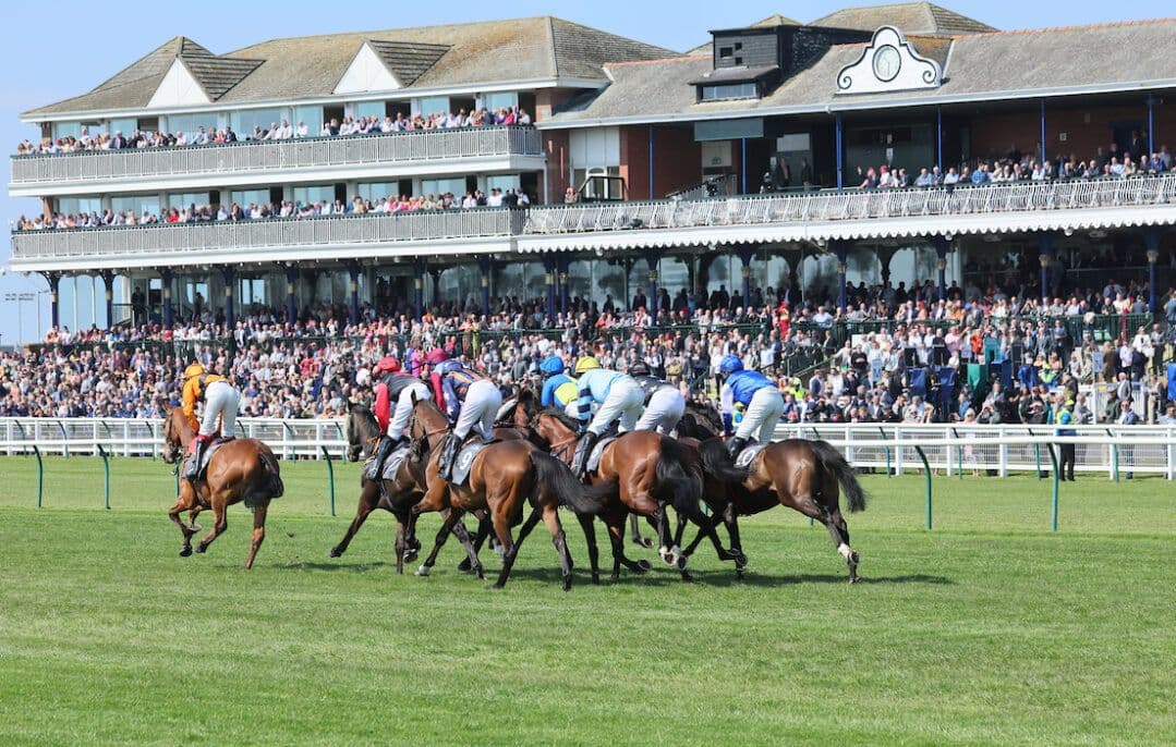 Punters Panel: Weekend horse racing betting advice from our experts