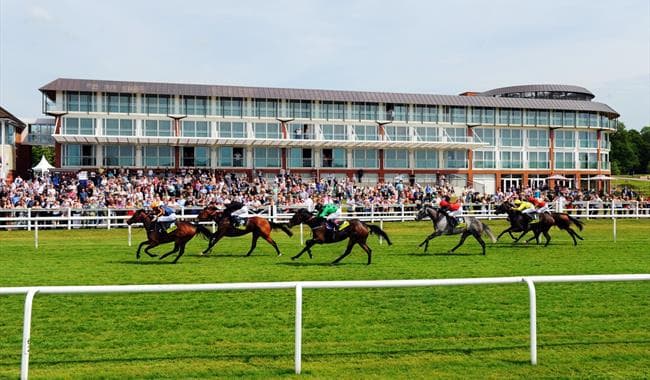 Punters Panel: Weekend horse racing betting advice from our experts